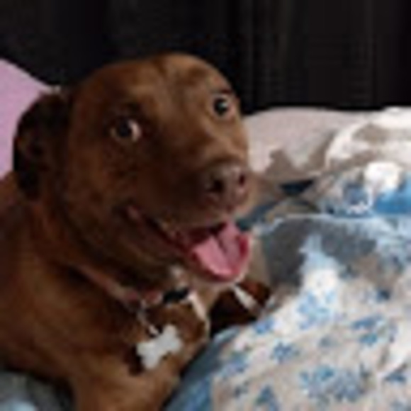 Meet your Posher, Cynthia - Picture 1 of 1